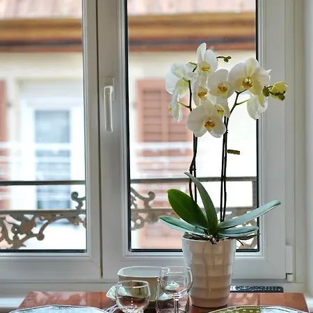 Alsacienne De Appartement *