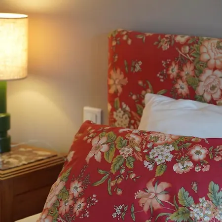 アパート Alsacienne De *