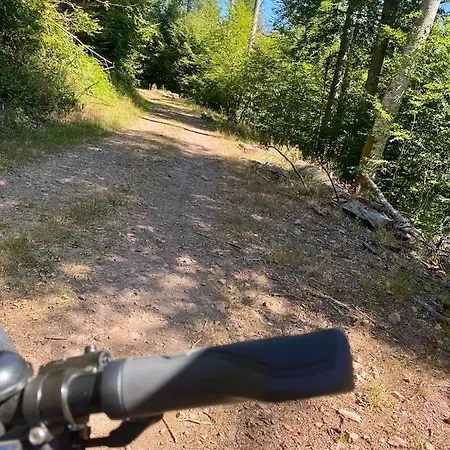 アパート Alsacienne De *