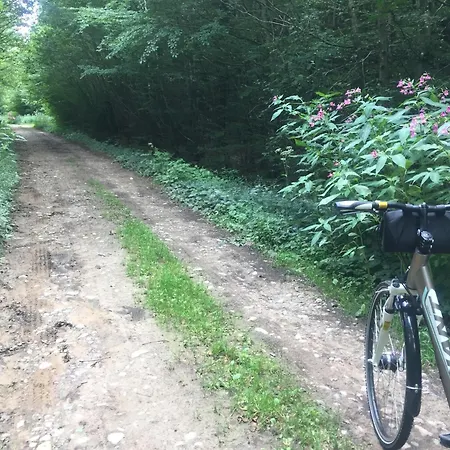 アパート Alsacienne De *