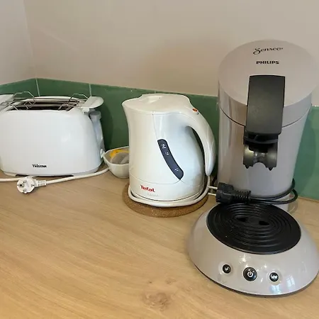 アパート Alsacienne De Masevaux-Niederbruck