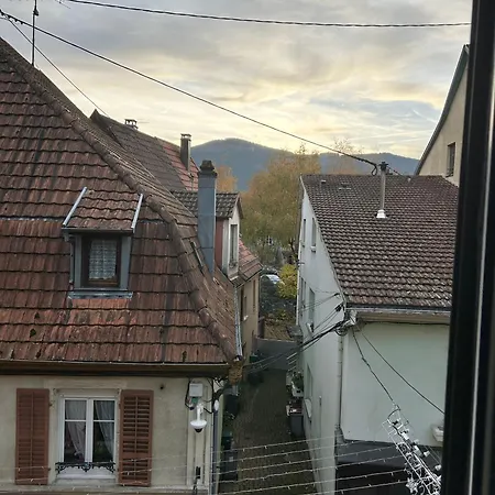 Alsacienne De アパート *